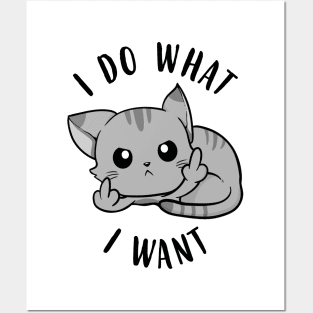 I Do What I Want Cats Posters and Art
